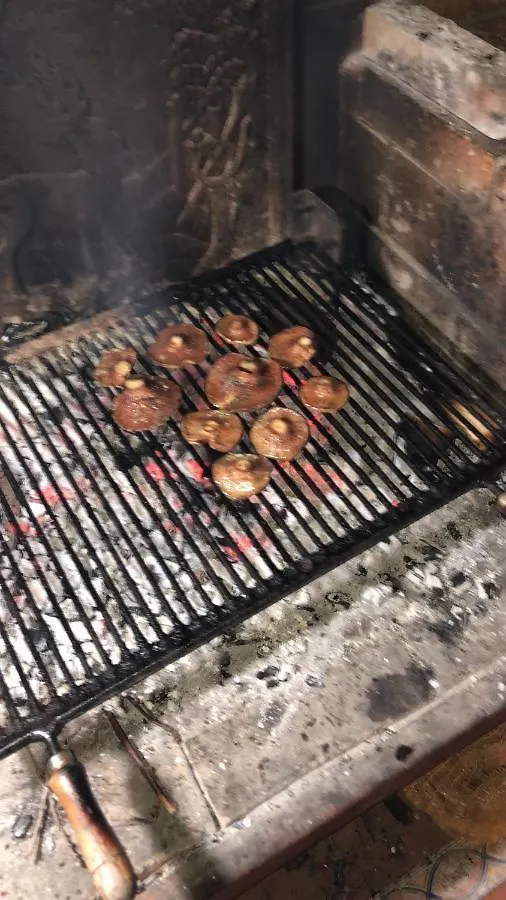 Cal Barral Villa Ansobell